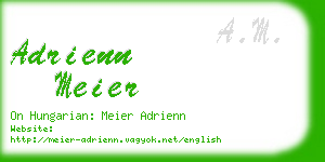 adrienn meier business card